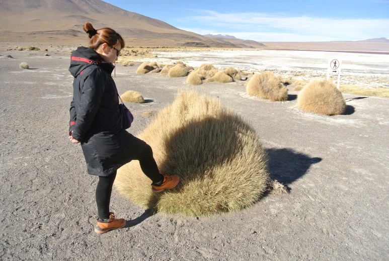 DSC_4372.JPG?type=w773