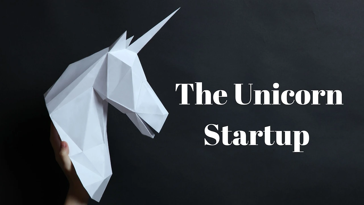 The-Unicorn-Startup.jpeg