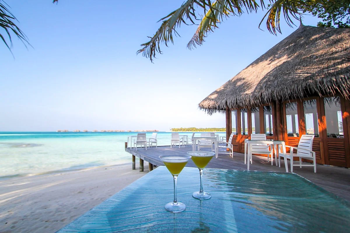 1IMG_5534.jpg?type=w1200