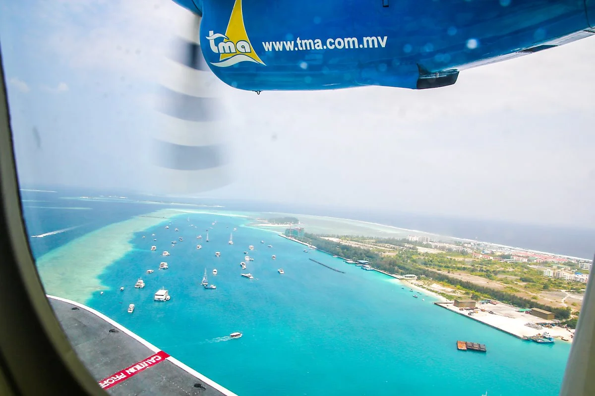 1IMG_3741.jpg?type=w1200