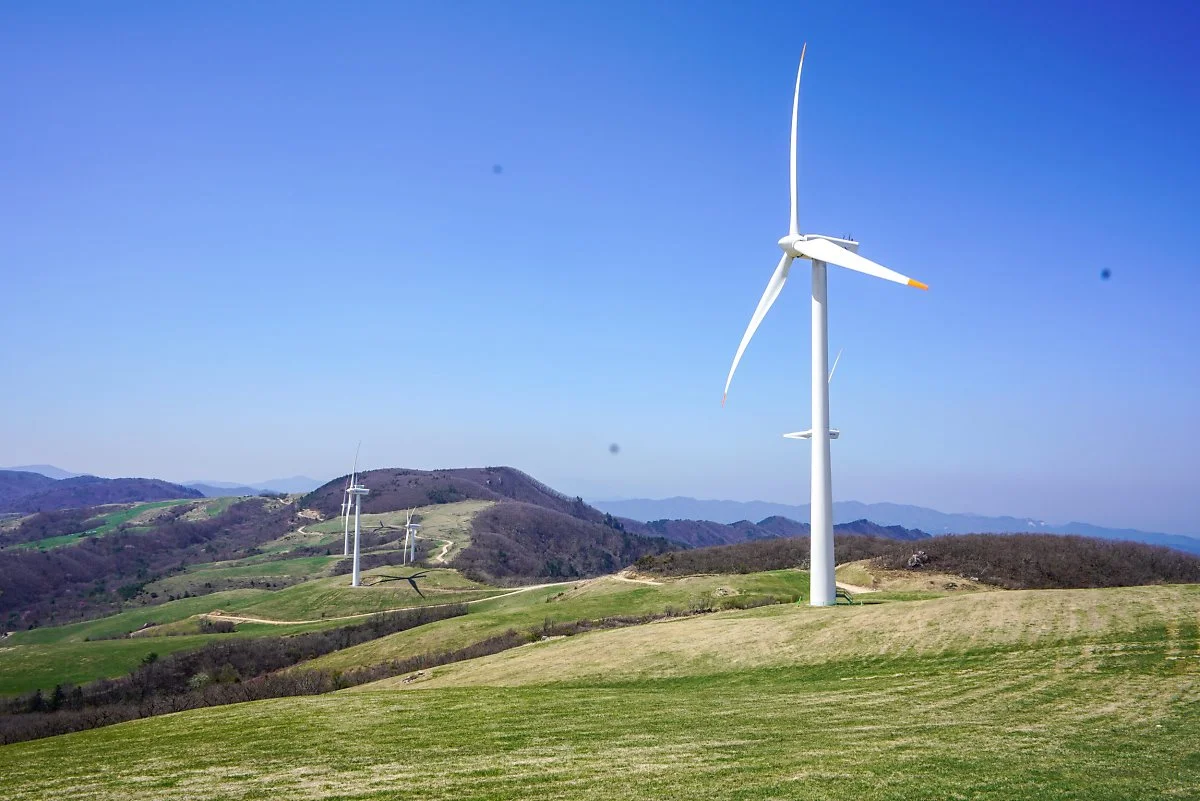 40%EB%8C%80%EA%B4%80%EB%A0%B9_%EC%96%91%EB%96%BC%EB%AA%A9%EC%9E%A58.jpg?type=w1200