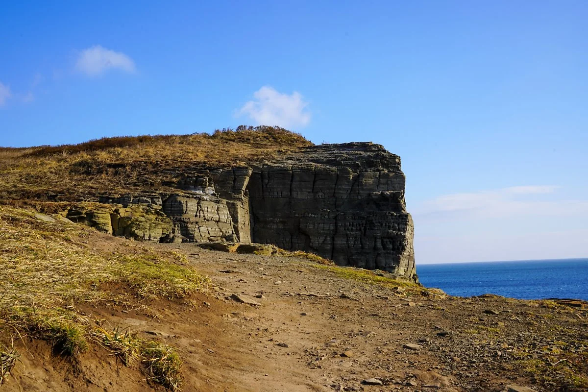 14%EB%A3%A8%EC%8A%A4%ED%82%A4%EC%84%AC.jpg?type=w1200