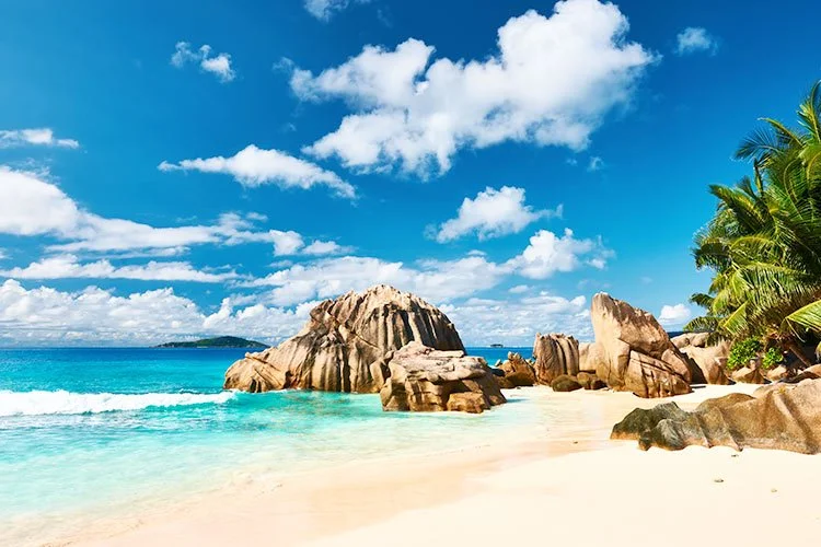 3-%EC%84%B8%EC%9D%B4%EC%89%98.jpg?type=w1200