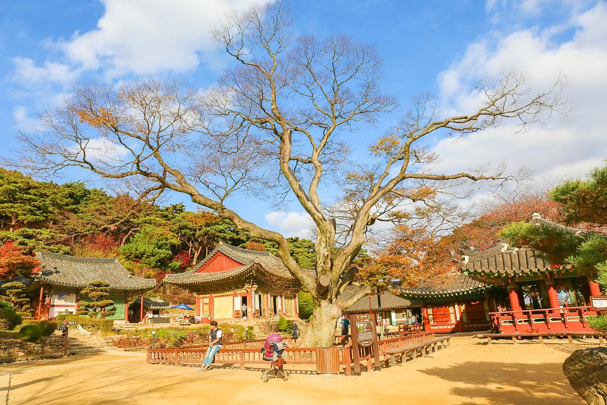 %EA%B0%95%ED%99%94_%285%29.jpg?type=w1200