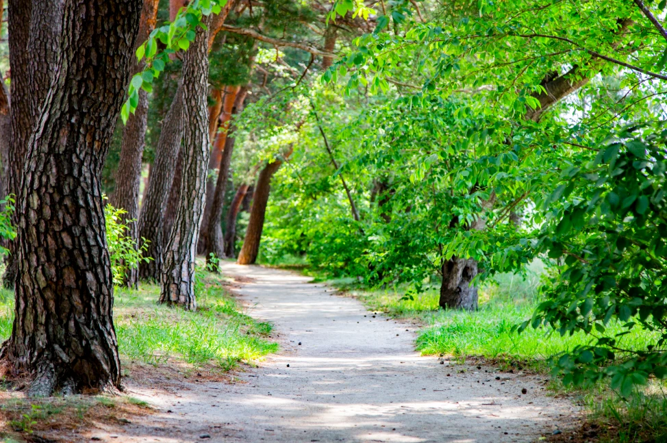 image.png?type=w1200