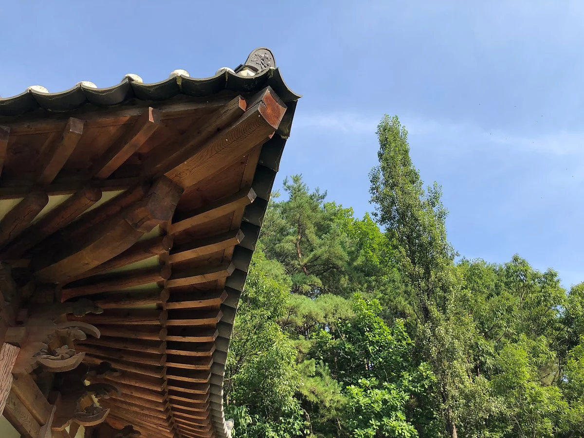 IMG_2699.JPG?type=w1200