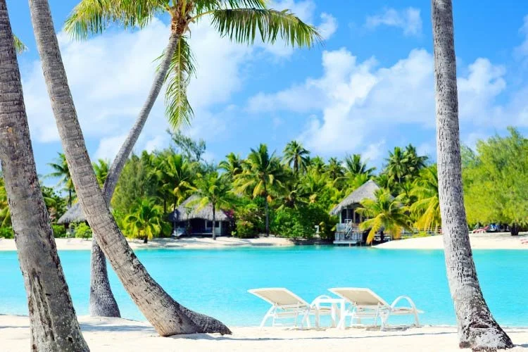 10_%EB%B3%B4%EB%9D%BC%EB%B3%B4%EB%9D%BC%EC%84%AC.jpg?type=w1200