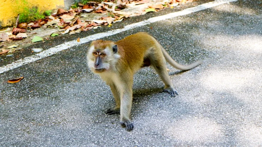 %ED%8E%98%EB%82%AD_%286%29.jpg?type=w1200