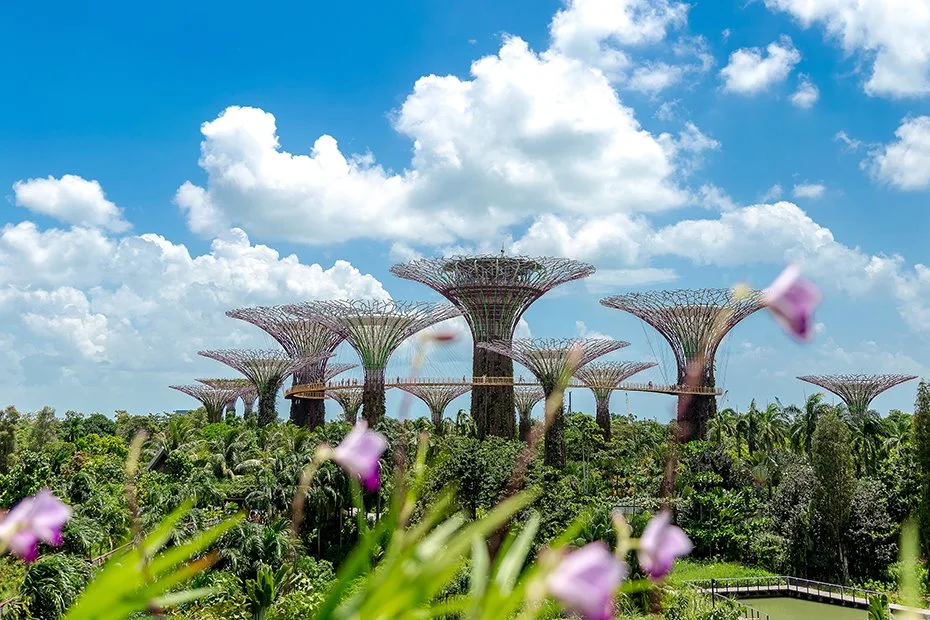 IMG_6327.jpg?type=w1200