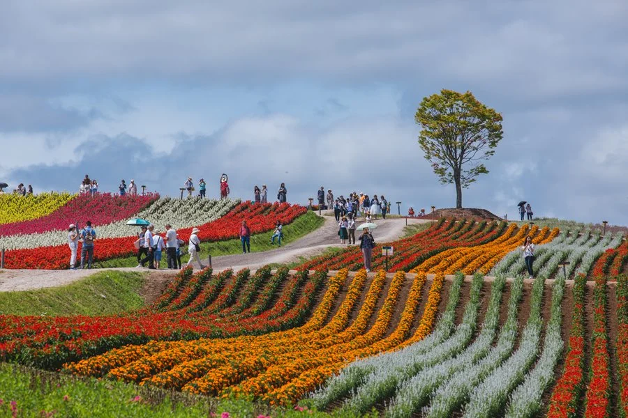 5%EC%9B%94SEO.%EC%82%BF%ED%8F%AC%EB%A1%9C%EC%97%AC%EB%A6%8418.jpg?type=w1200