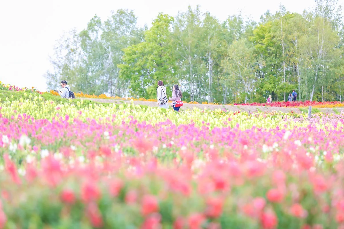 9_%EC%97%AC%EB%A6%84_%282%29.jpg?type=w1200