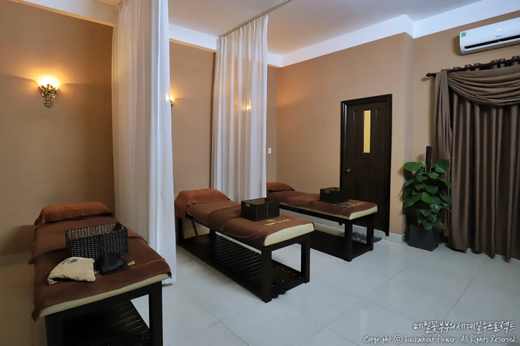 04._%ED%88%AC%EB%9E%80%EC%8A%A4%ED%8C%8C.png?type=w1200