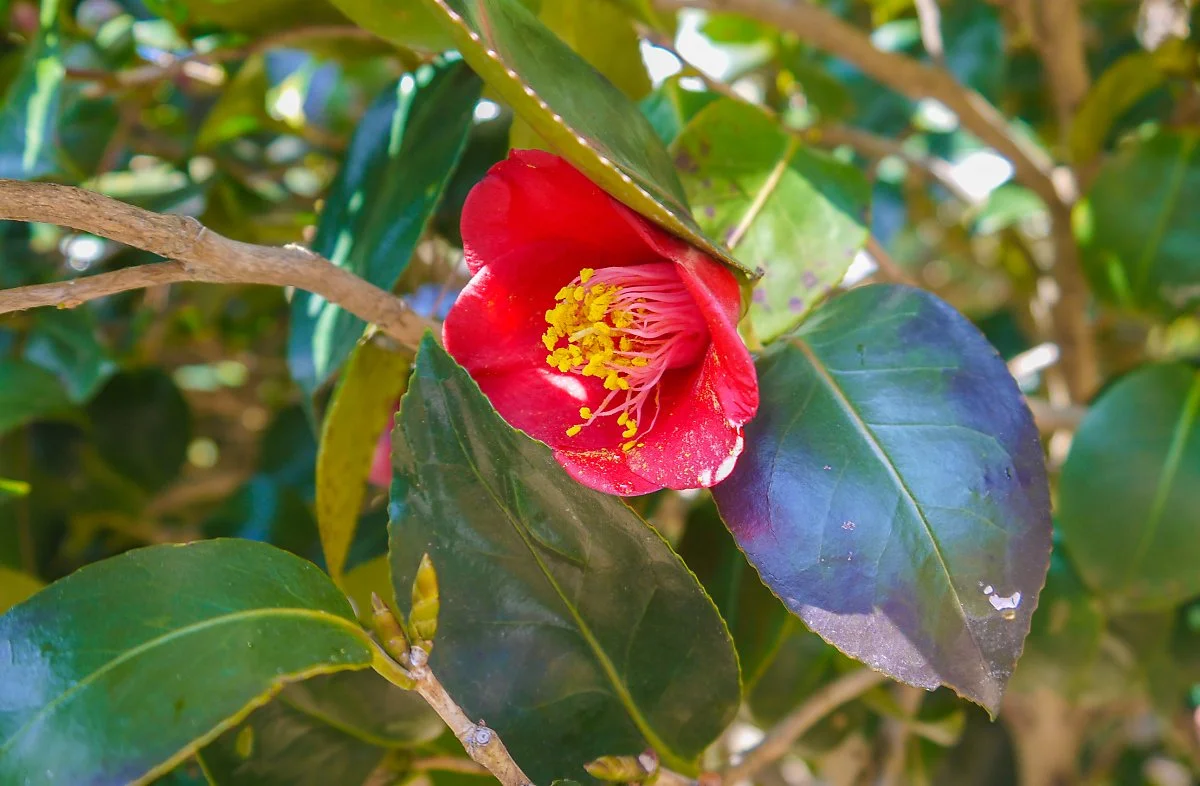 %ED%86%B5%EC%98%81_%285%29.jpg?type=w1200