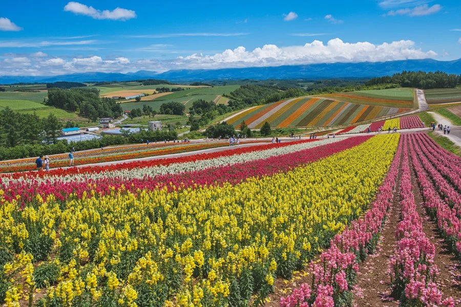 5%EC%9B%94SEO.%EC%82%BF%ED%8F%AC%EB%A1%9C%EC%97%AC%EB%A6%8416.jpg?type=w1200