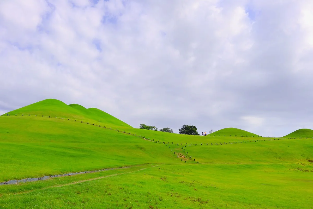 IMG_2661.JPG?type=w1200