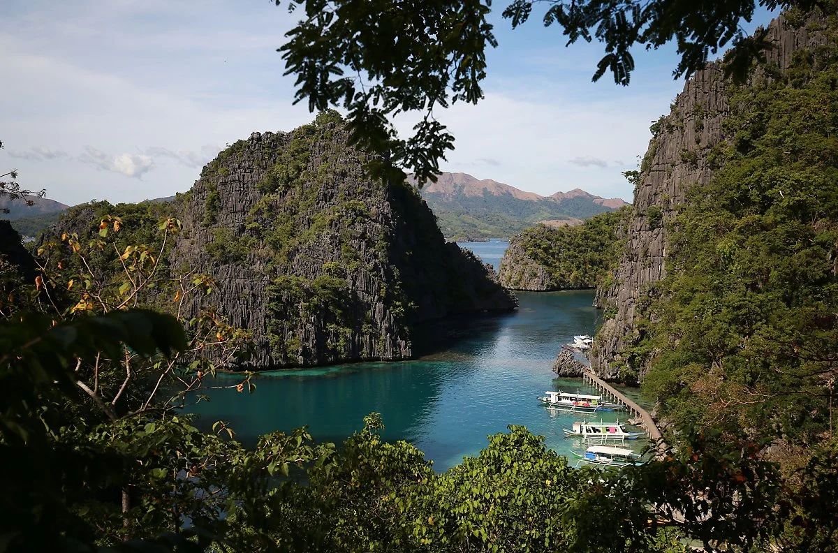 %ED%95%84%EB%A6%AC%ED%95%80%EC%BD%94%EB%A1%A06.jpg?type=w1200