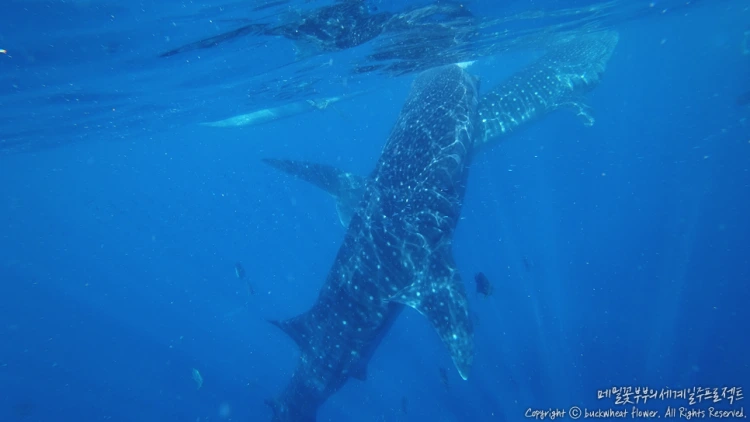 04._%EC%98%A4%EC%8A%AC%EB%A1%AD%ED%88%AC%EC%96%B4.png?type=w1200