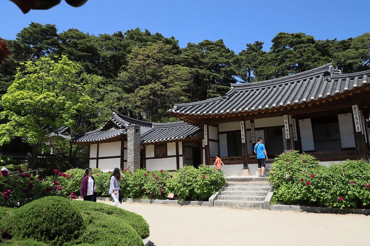 %EA%B0%95%EB%A6%89_%282%29.JPG?type=w1200