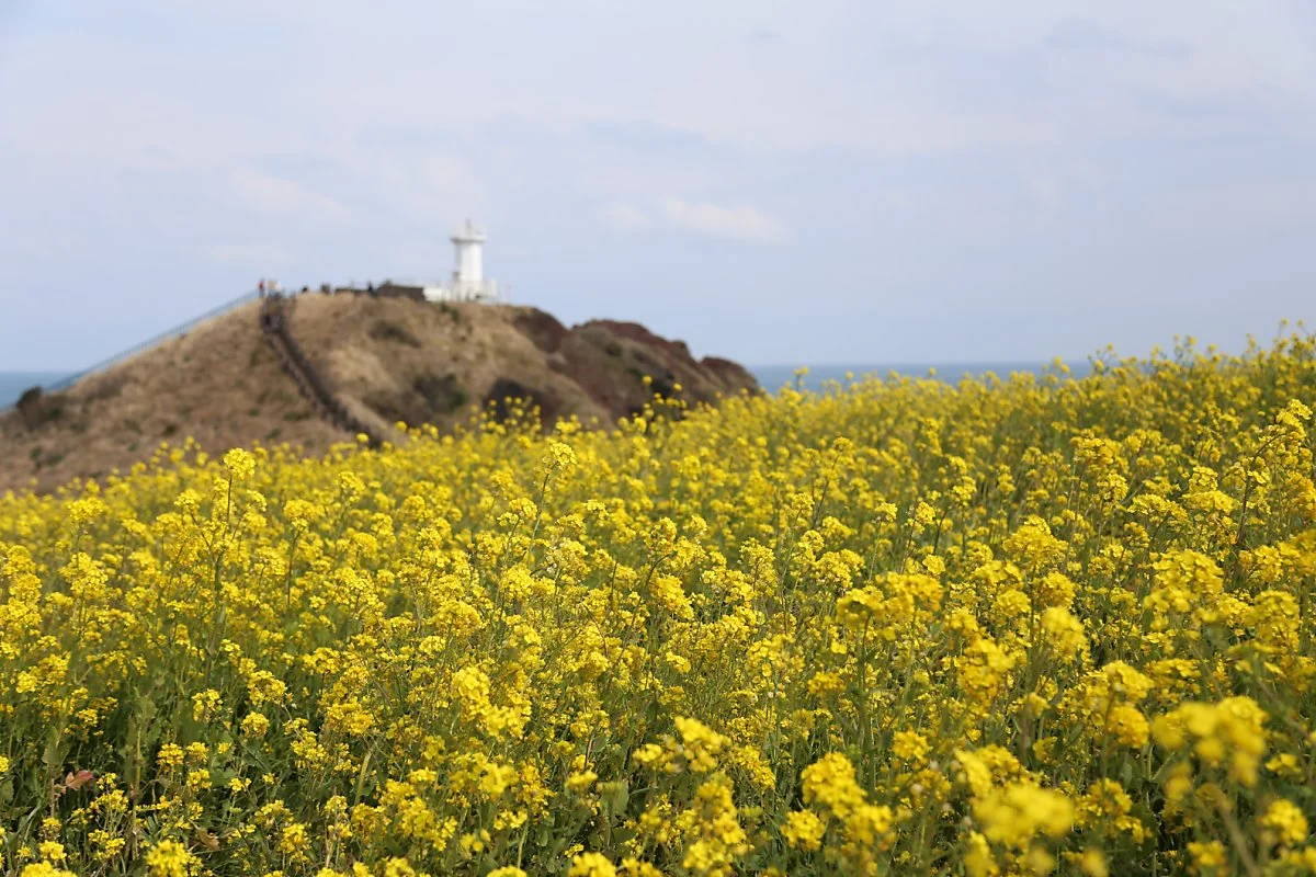 13_%EC%84%AD%EC%A7%80%EC%BD%94%EC%A7%80_%282%29.JPG?type=w1200