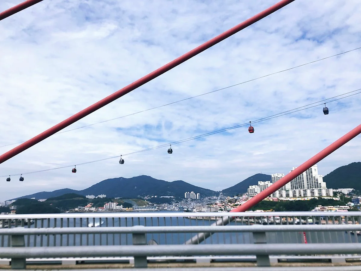 image_1116558381569266413948.jpg?type=w1200