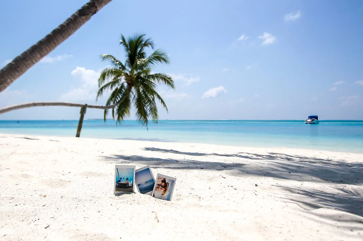 1IMG_5799.jpg?type=w1200