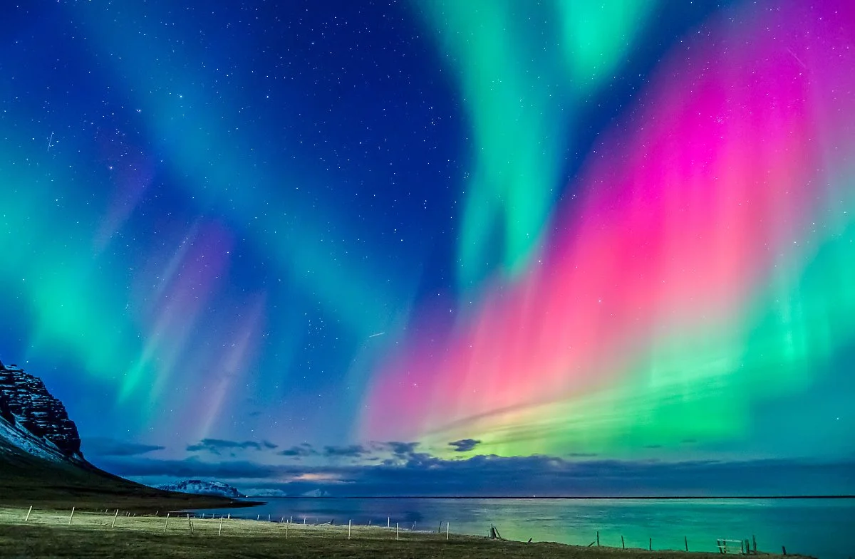 5_%ED%98%B8%EC%A3%BC_%ED%83%9C%EC%A6%88%EB%A7%A4%EB%8B%88%EC%95%84_%284%29.jpg?type=w1200