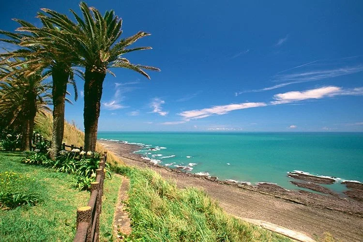 5_%EB%AF%B8%EC%95%BC%EC%9E%90%ED%82%A4.jpg?type=w1200