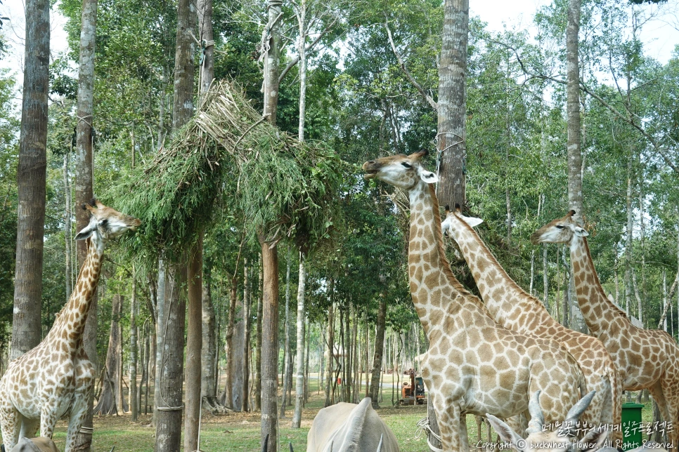 14.%EB%B9%88%ED%8E%84%EC%82%AC%ED%8C%8C%EB%A6%AC.png?type=w1200