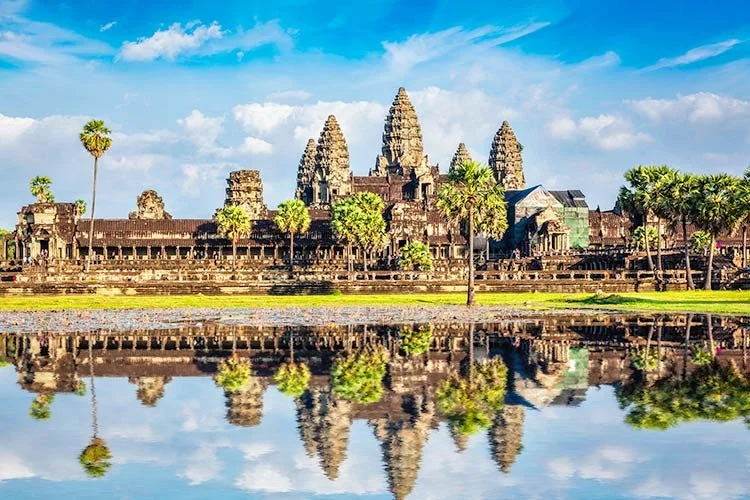 1-%EC%94%A8%EC%97%A0%EB%A6%BD.jpg?type=w1200