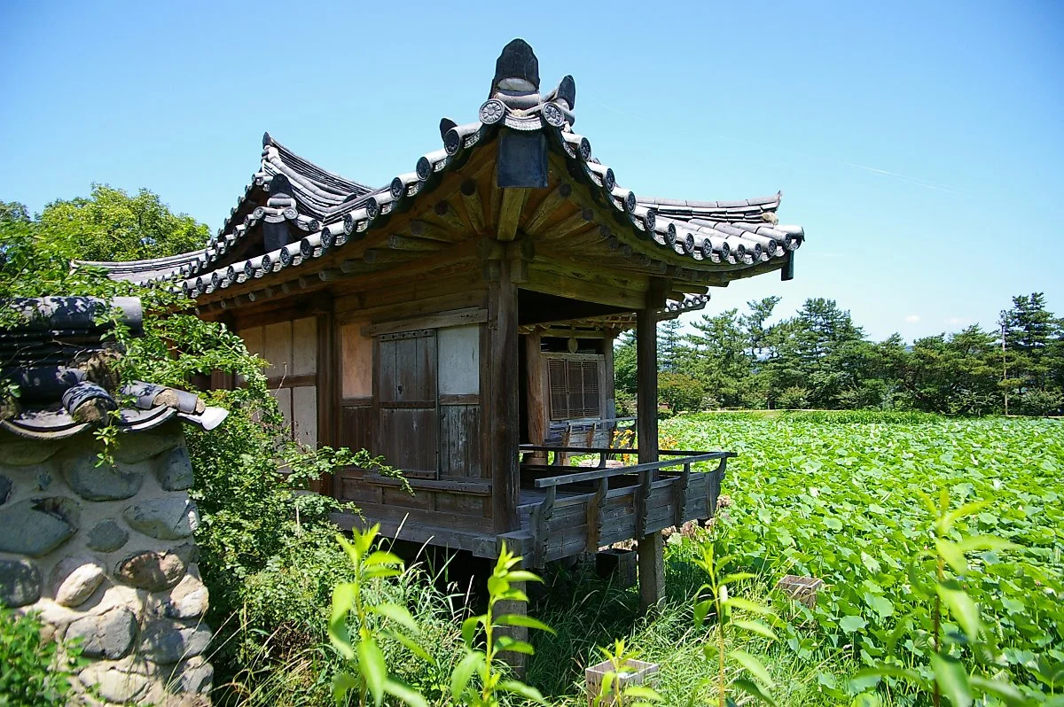 IMGP3887.JPG?type=w1200