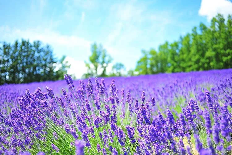 3-%EC%82%BF%ED%8F%AC%EB%A1%9C.jpg?type=w1200