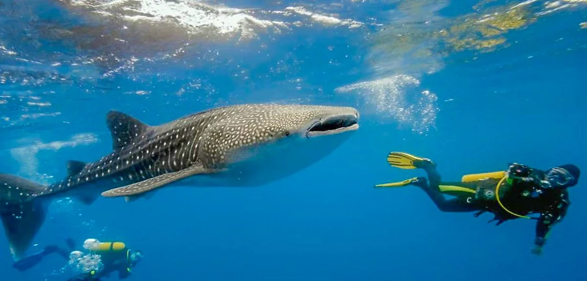 %EC%84%B8%EB%B6%80_%282%29.jpg?type=w1200