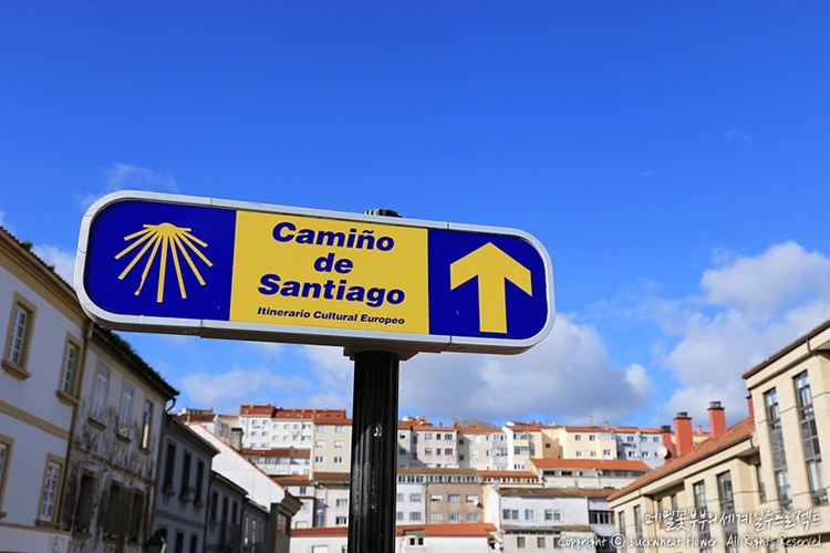 %EC%82%B0%ED%8B%B0%EC%95%84%EA%B3%A0%EB%8D%B0%EC%BD%A4%ED%8F%AC%EC%8A%A4%ED%85%94%EB%9D%BC.png?type=w1200