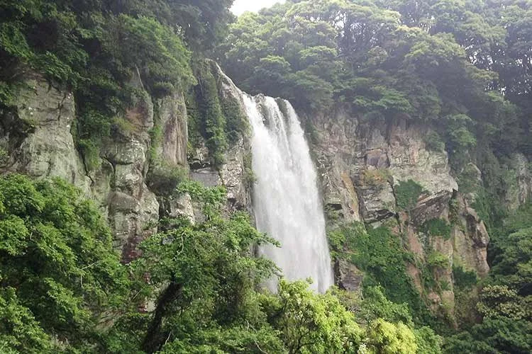 1-%EC%97%89%EB%98%90%ED%8F%AD%ED%8F%AC.jpg?type=w1200