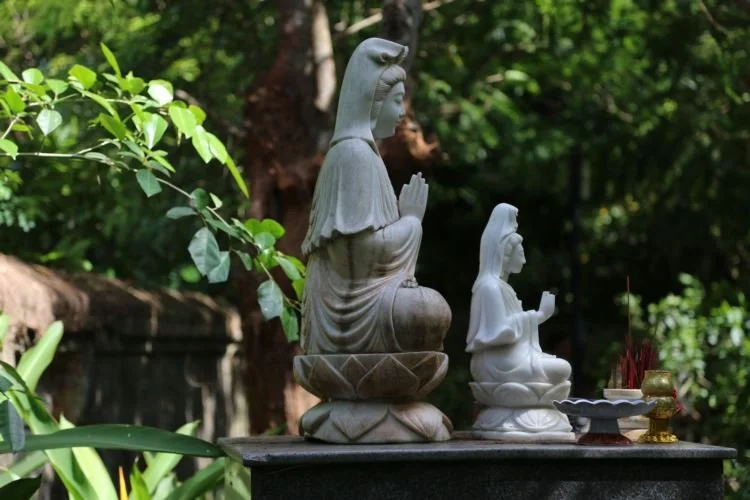 21-21.JPG?type=w1200