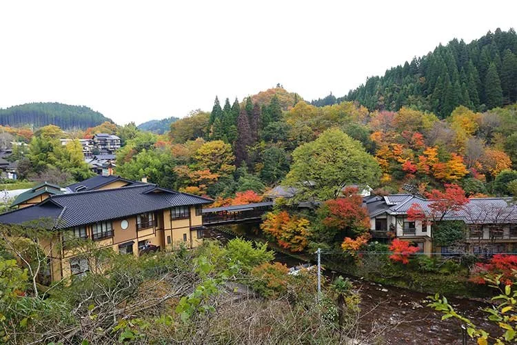 %EA%B5%AC%EB%A7%88%EB%AA%A8%ED%86%A0.jpg?type=w1200