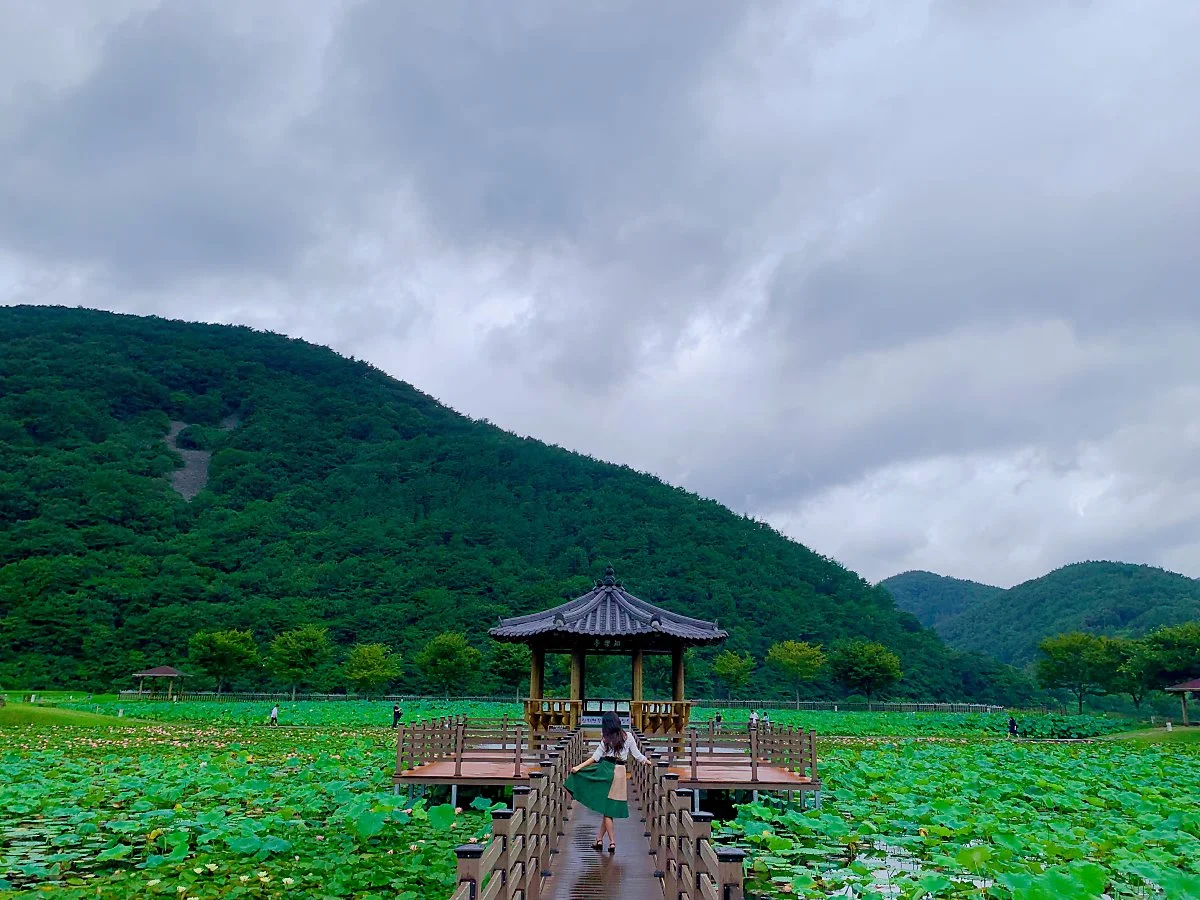 IMG_2681.JPG?type=w1200