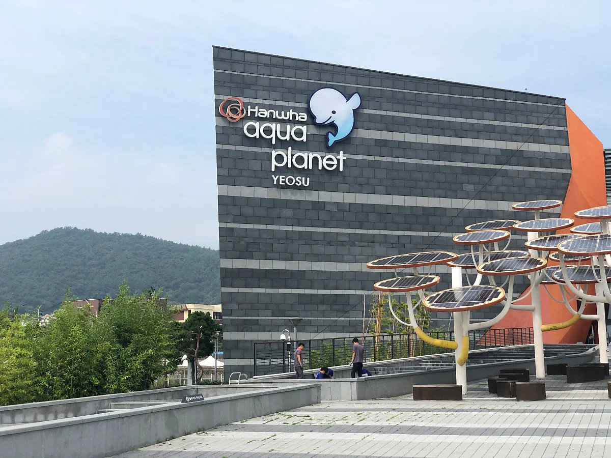 IMG_3651.JPG?type=w1200