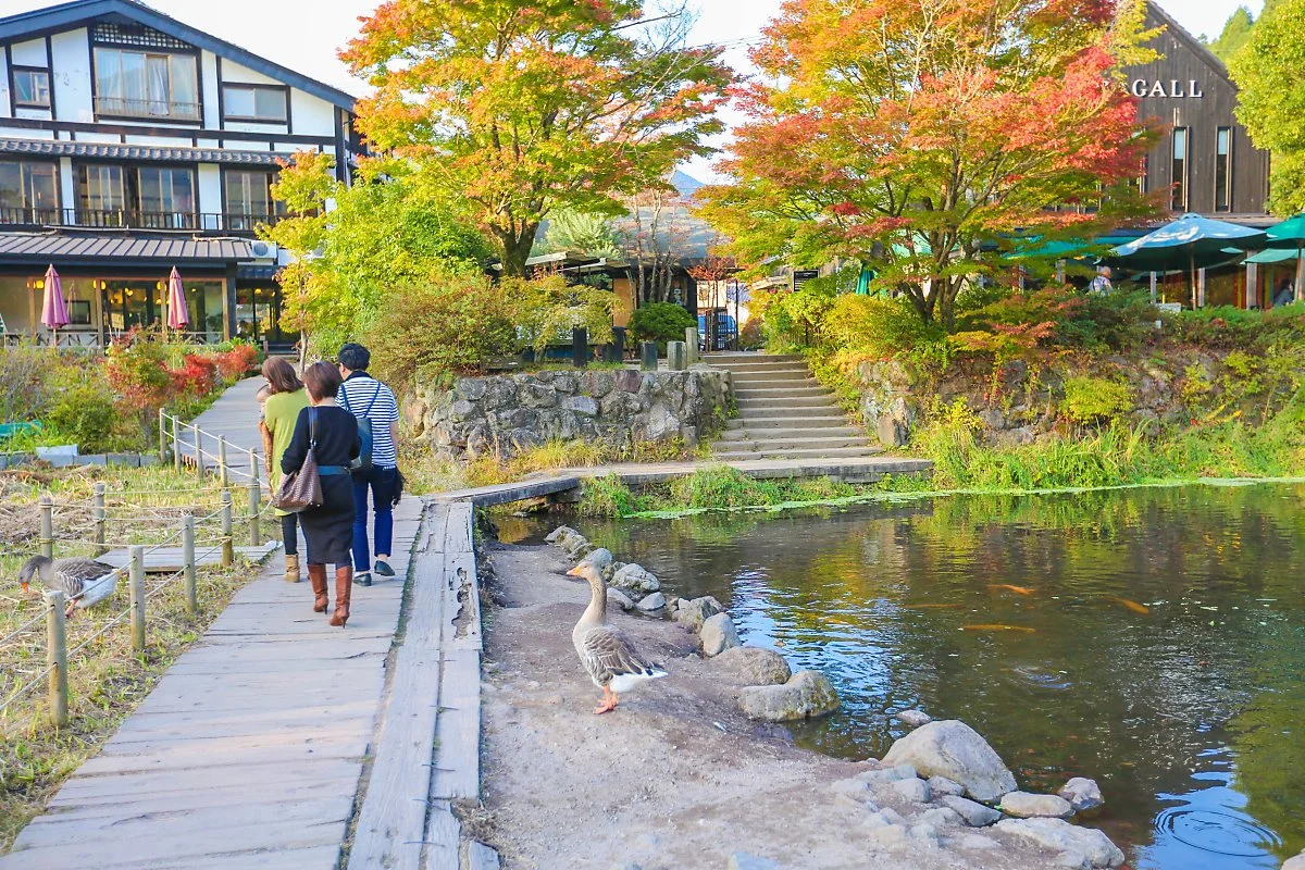 %EA%B8%B4%EB%A6%B0%EC%BD%94_%ED%98%B8%EC%88%98_%281%29.jpg?type=w1200