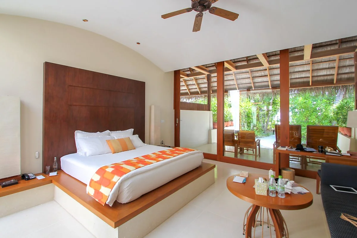 1IMG_4825.jpg?type=w1200