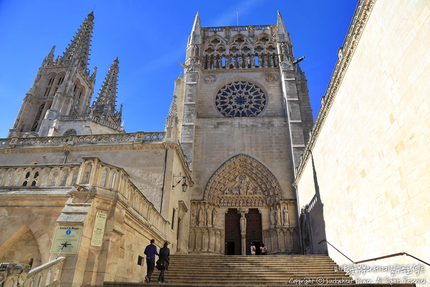 %EB%B6%80%EB%A5%B4%EA%B3%A0%EC%8A%A4%EB%8C%80%EC%84%B1%EB%8B%B9_02.png?type=w1200