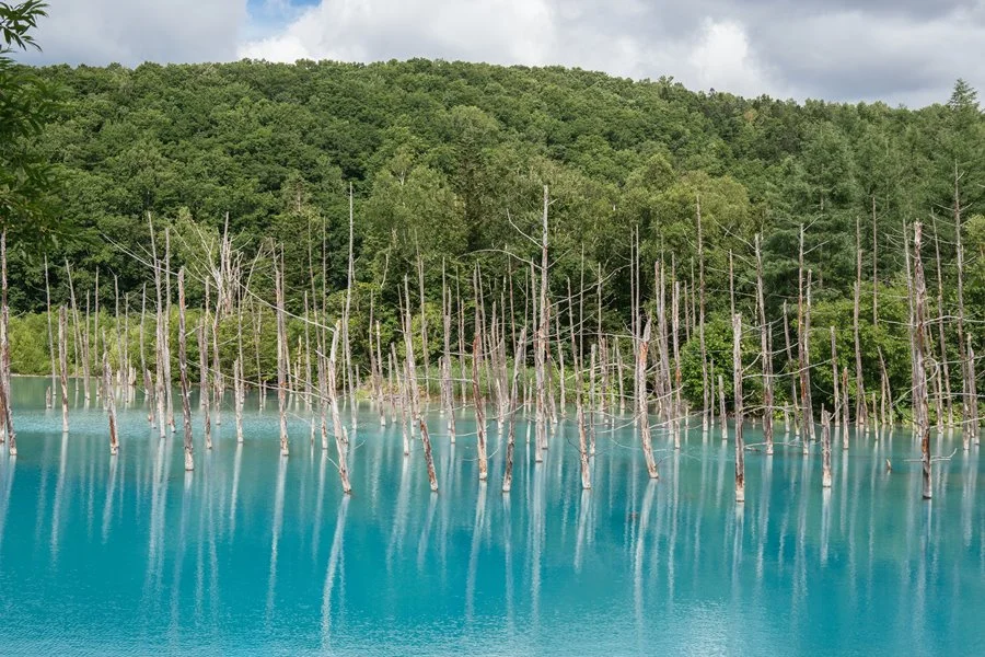 5%EC%9B%94SEO.%EC%82%BF%ED%8F%AC%EB%A1%9C%EC%97%AC%EB%A6%8425.jpg?type=w1200