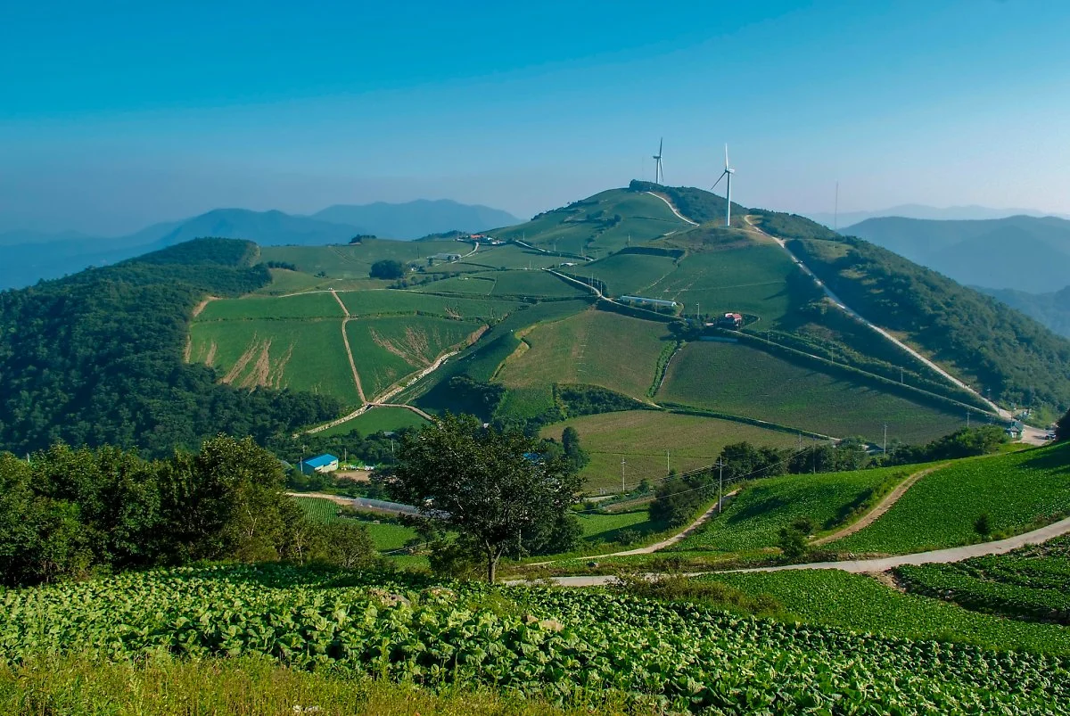 %EA%B0%95%EB%A6%895.jpg?type=w1200&type=w1200