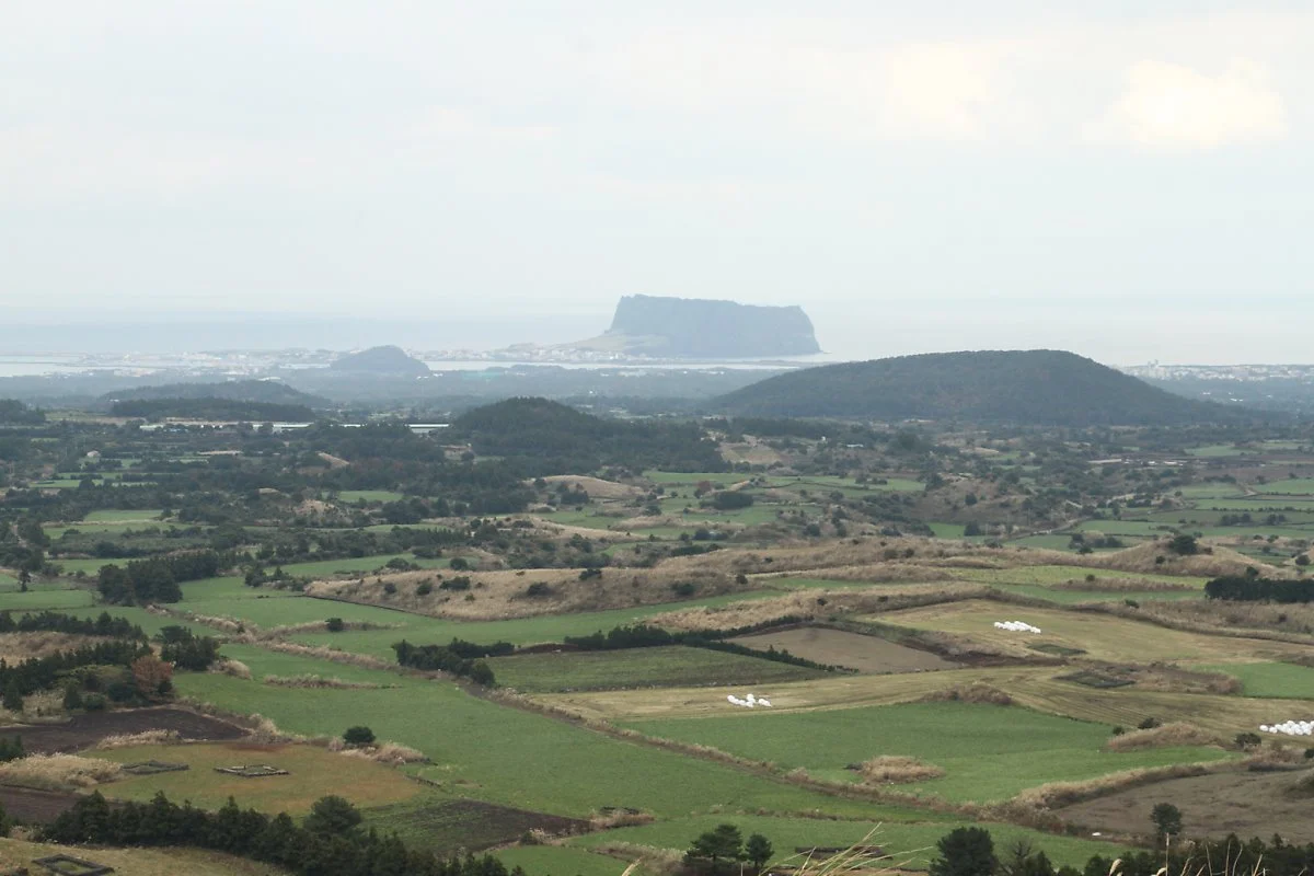 9_%EC%9A%A9%EB%88%88%EC%9D%B4_%EC%98%A4%EB%A6%84_%282%29.JPG?type=w1200