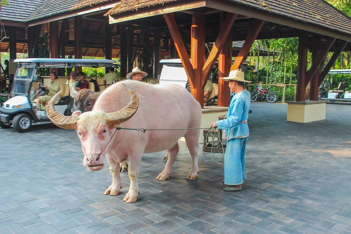 7_%EC%B9%98%EC%95%99%EB%A7%88%EC%9D%B4_%281%29.jpg?type=w1200