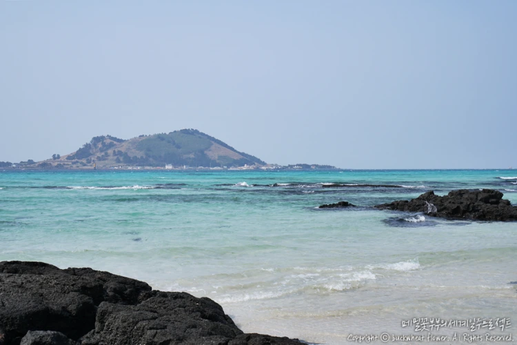 %EA%B8%88%EB%8A%A5%EC%9C%BC%EB%9C%B8%EC%9B%90%ED%95%B4%EB%B3%80_01.png?type=w1200