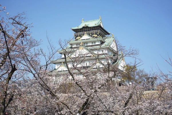 image.png?type=w1200