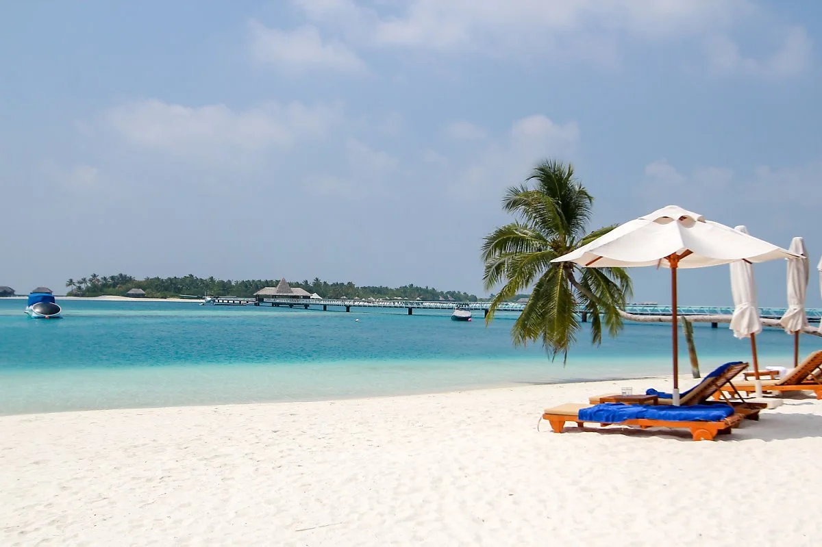 1IMG_4442.jpg?type=w1200