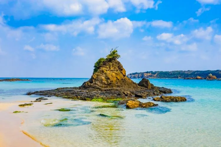 021-21.jpg?type=w1200