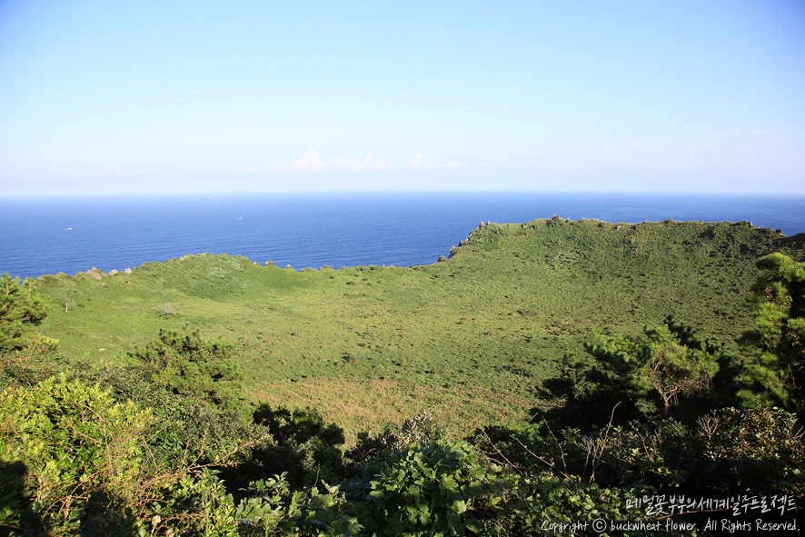 3.%EC%84%B1%EC%82%B0%EC%9D%BC%EC%B6%9C%EB%B4%89.png?type=w1200